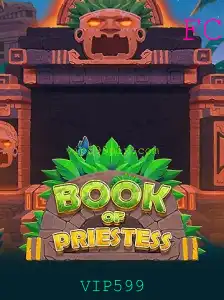Explorando o Mundo Enigmático de BookOfPriestess: Regras e Introdução