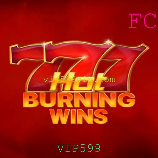 Descubra o Fascinante Mundo de HotBurningWins